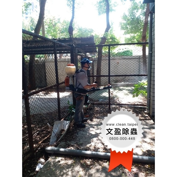 校園環境除蟲消毒-文盈蟲害防治企業社