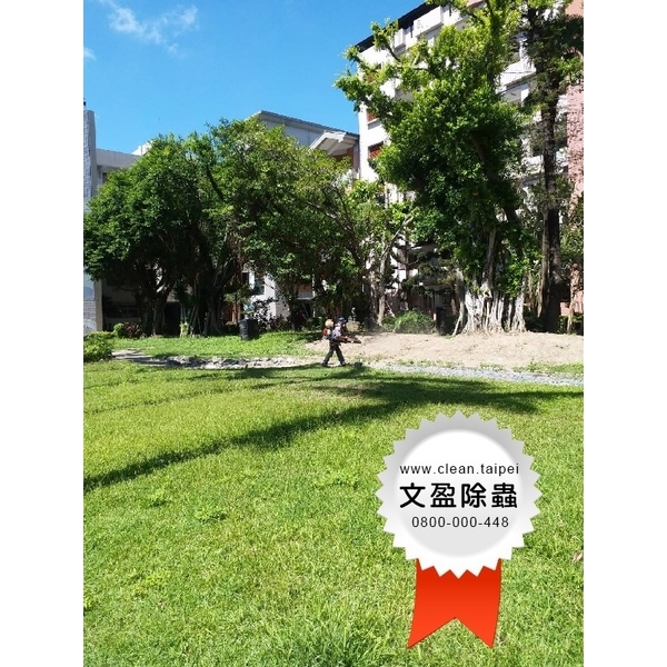 校園環境除蟲消毒-文盈蟲害防治企業社