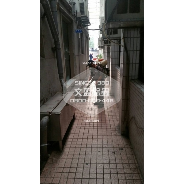 校園環境消毒.滅鼠.投藥-國家考場-文盈蟲害防治企業社