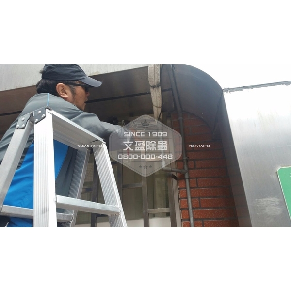 捕鼠-文盈蟲害防治企業社