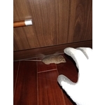 活捉老鼠
