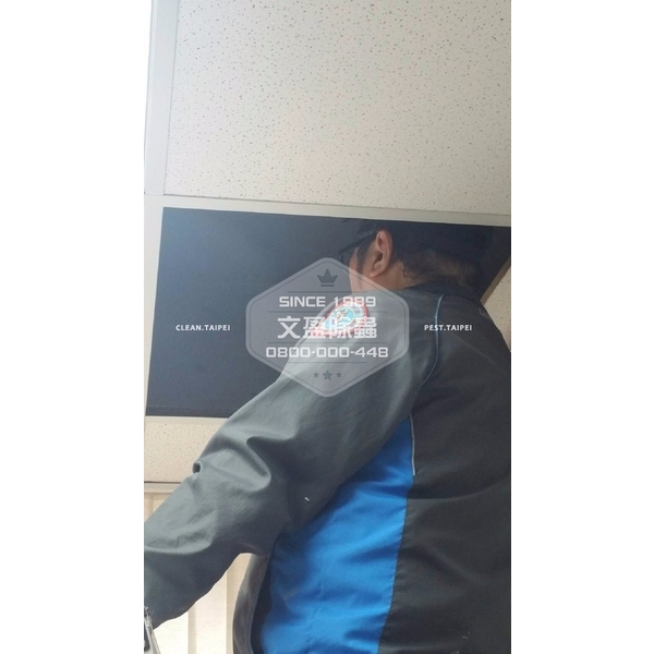 捕鼠-文盈蟲害防治企業社