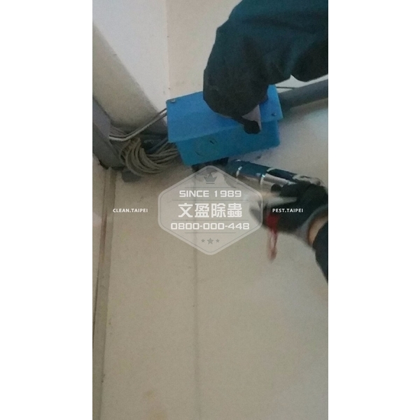 捕鼠-文盈蟲害防治企業社