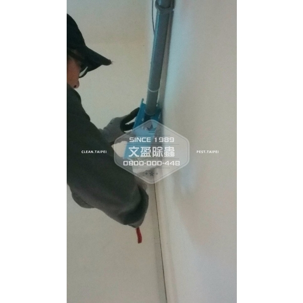 捕鼠-文盈蟲害防治企業社