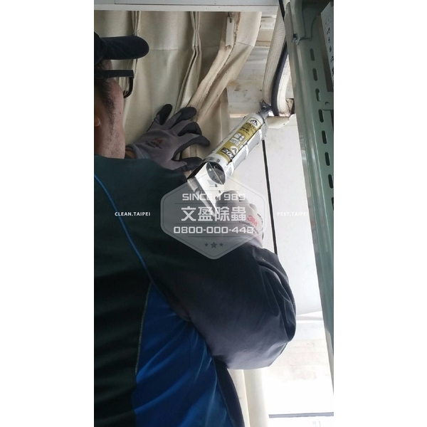 捕鼠-文盈蟲害防治企業社