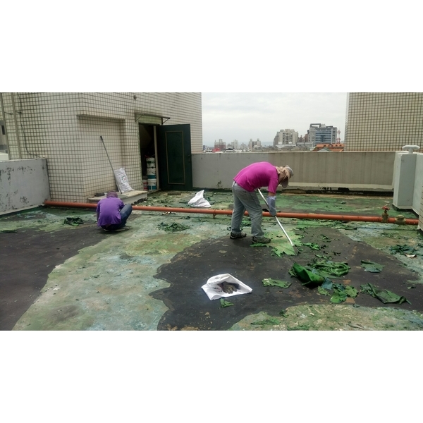 屋頂地坪剷除舊有PU-嘉興隆工程有限公司