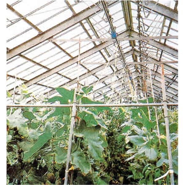植物栽培溫室-昕一工業股份有限公司