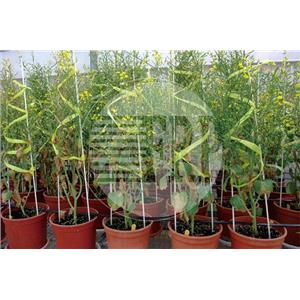 農業支架-慶怡工業股份有限公司