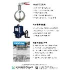立津國際開發有限公司,直線