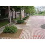 軍功國小樹穴改善施工後 - 芊邑園景工程有限公司