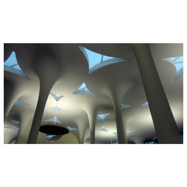 台大社科館樹狀造型柱