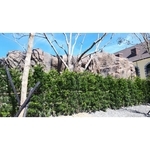 春天酒店GRC假山 - 國園工程有限公司