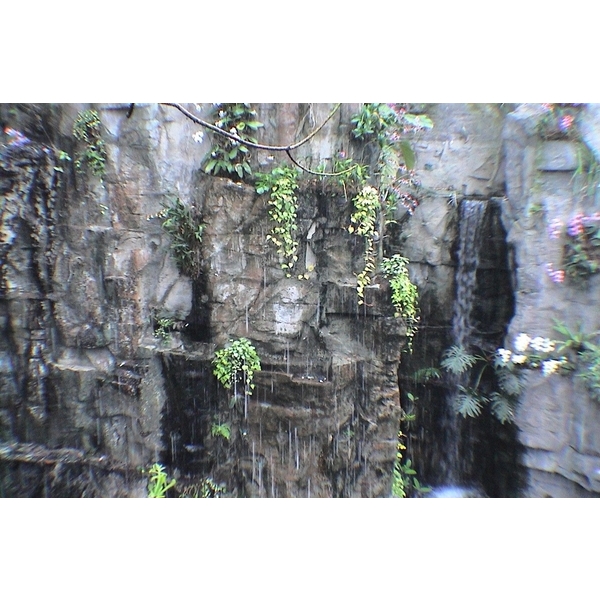 假山-國園工程有限公司