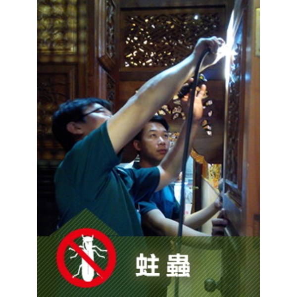蛀蟲防治