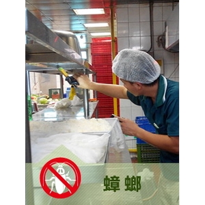 蟑螂防治-上安專業除蟲企業行