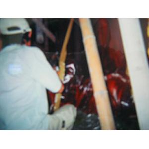 神像佛像蛀蟲薰蒸(施藥)-上安專業除蟲企業行