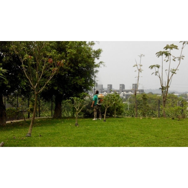 環境消毒
