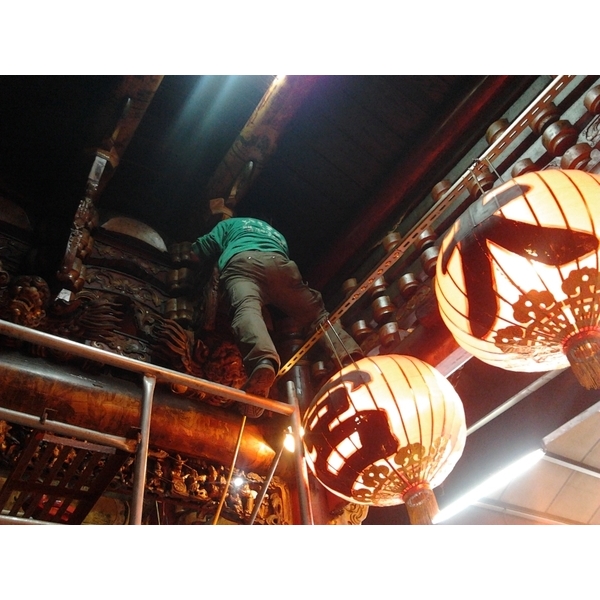 白蟻防治