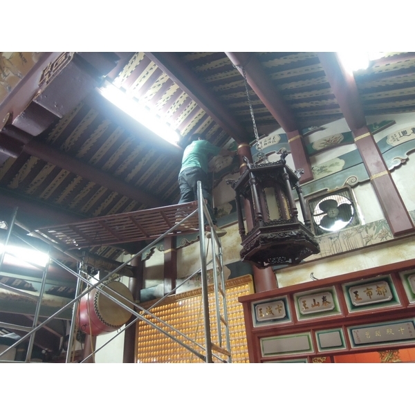 白蟻防治