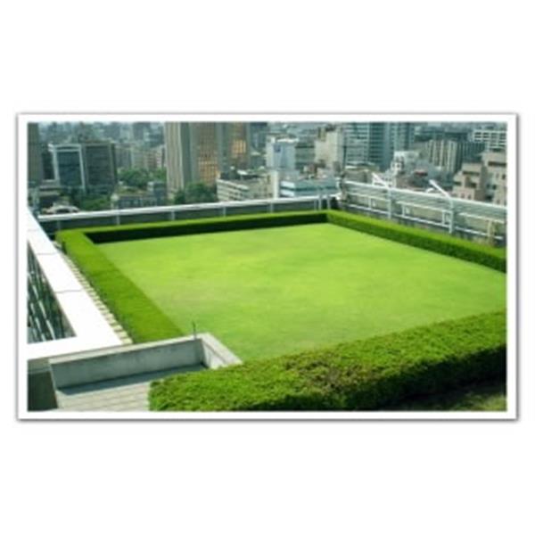 草坪養護-剪刀倫園藝社