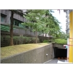 樹木修剪 - 剪刀倫園藝社