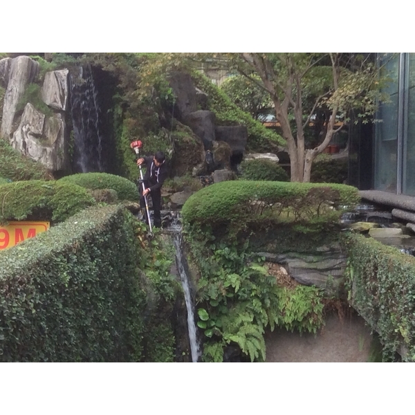 造景園藝 造景園藝