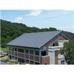 萊特金屬瓦-法鼓山天南寺 - 萊全金屬工業股份有限公司[盛威]