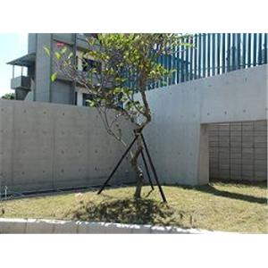 清水模建築防護工程 - 益崗工程有限公司