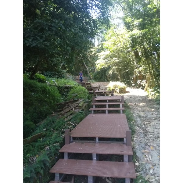 中埔(木棧道)-君格科技有限公司