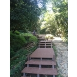 中埔(木棧道)