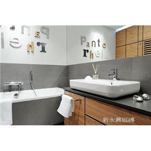 浴室版岩灰-新永興磁磚建材行