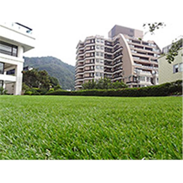 春天酒店-欣耐吉人工草皮企業有限公司