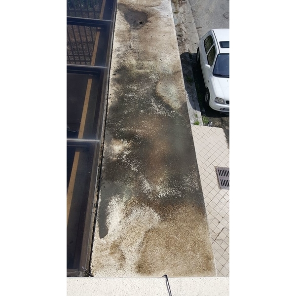 住宅水泥青苔清除-宸潔環境清潔維護服務社