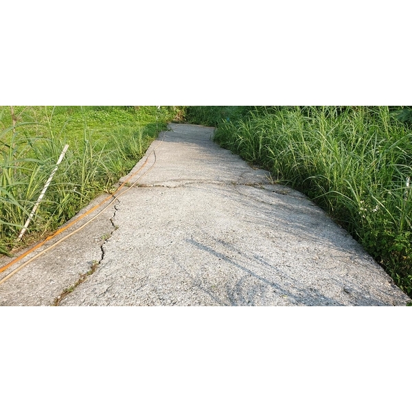 產業道路青苔清洗-宸潔環境清潔維護服務社