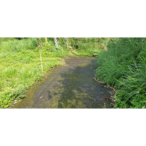 產業道路青苔清洗-宸潔環境清潔維護服務社