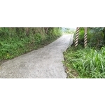 產業道路青苔清洗