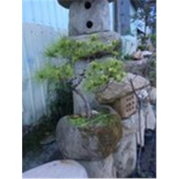 石缽、水缽