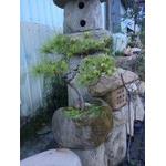 石缽、水缽-磊昇園藝石材有限公司