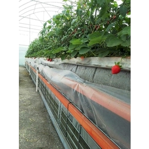 水耕蔬菜塑膠布-達榮企業社