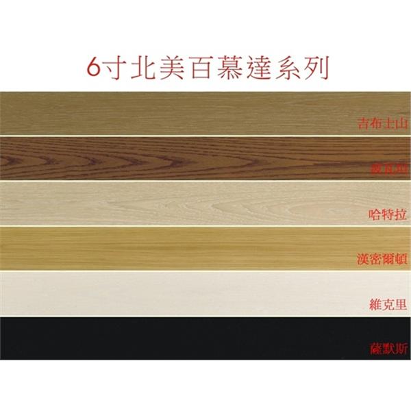 6寸200條北美百慕達系列