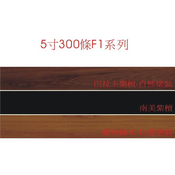 5吋300條F1系列