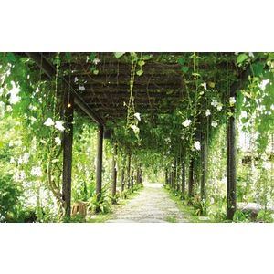 仿木花架R-3-三榮建材工業股份有限公司