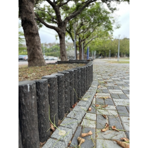 仿櫟木五連椿及單椿樹穴及花台-三榮建材工業股份有限公司
