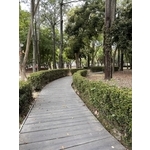 仿枕木木棧道