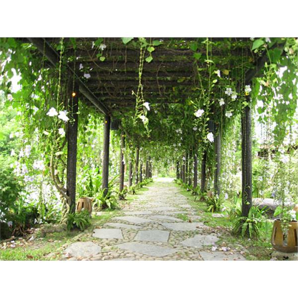 仿木花架-三榮建材工業股份有限公司