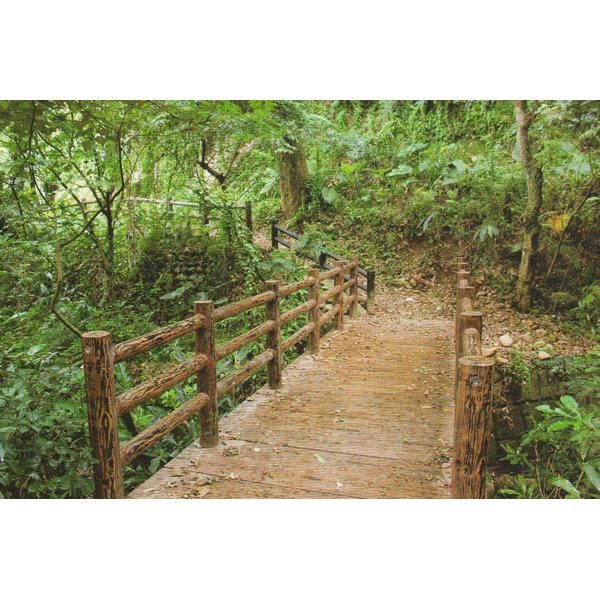 特訂仿木橋-三榮建材工業股份有限公司
