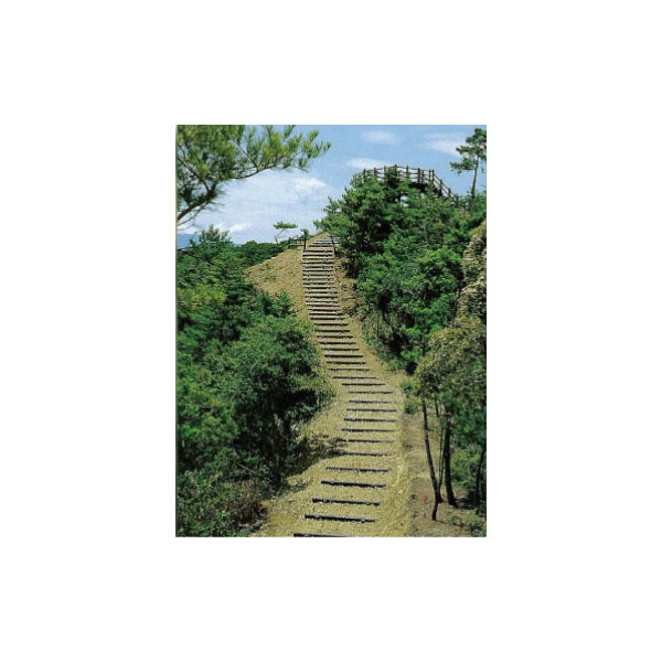 仿木階梯-三榮建材工業股份有限公司