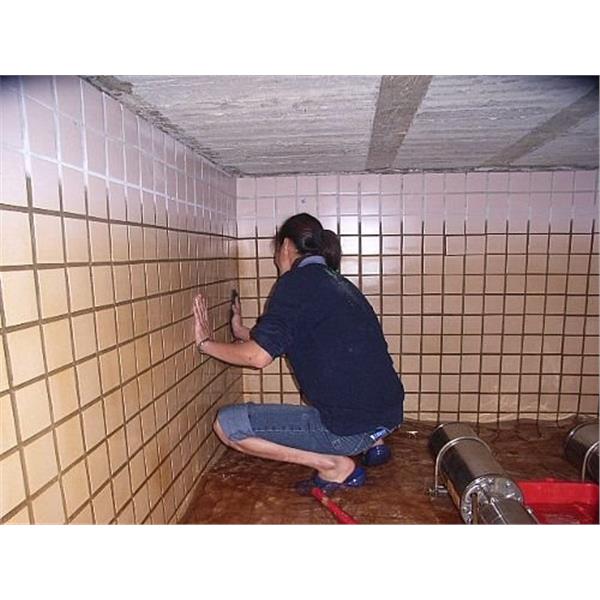 清洗水塔 清洗水塔