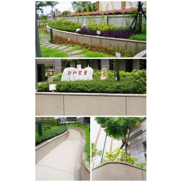 新和首璽園藝造型抿石工程 新和首璽園藝造型抿石工程