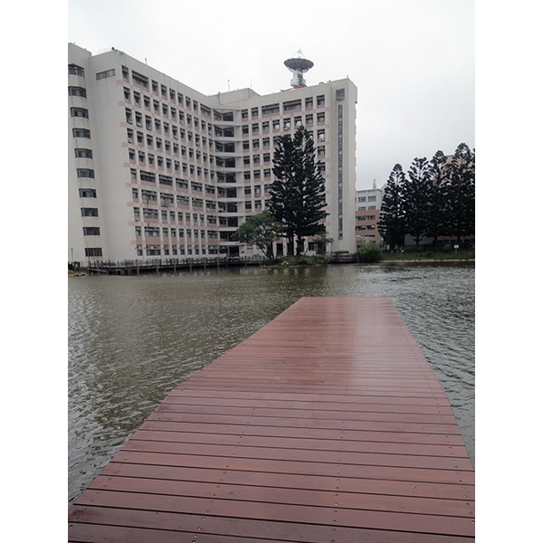婆羅洲鐵木-尼可企業社